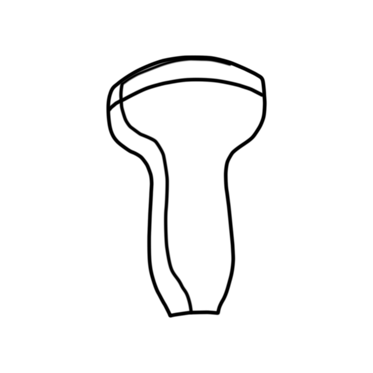 Convex Probe